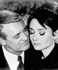 Cary Grant And Audrey Hepburn In Love Paint By Numbers