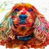 Colorful Spaniel Dog Art Paint By Numbers