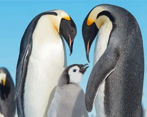 Emperor Penguin Family Paint By Numbers