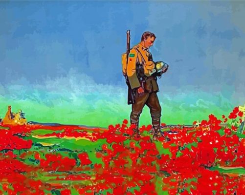 Flanders Field Paint By Numbers