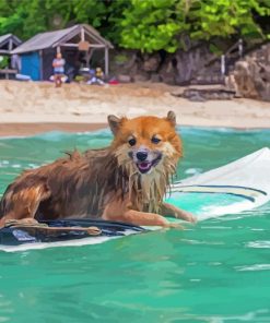 Funny Dog With Surfboard Paint By Numbers