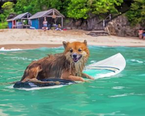 Funny Dog With Surfboard Paint By Numbers