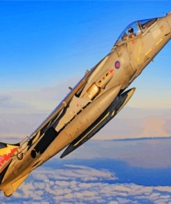 Harrier Jet GR9 Hunter Paint By Numbers
