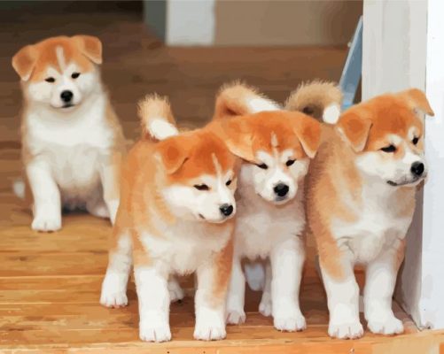 Japanese Puppies Paint By Numbers