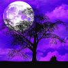 Purple Moon And Tree Silhouette Paint By Numbers