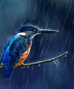 Rain And Bird Paint By Numbers