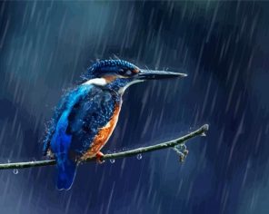 Rain And Bird Paint By Numbers