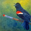 Redwing Art Paint By Numbers