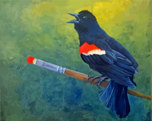 Redwing Art Paint By Numbers