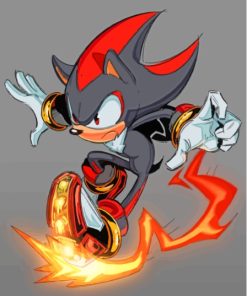 Shadow The Hedgehog Paint By Numbers