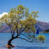 Small Boat In Lake Wanaka Paint By Numbers