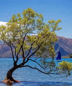 Small Boat In Lake Wanaka Paint By Numbers