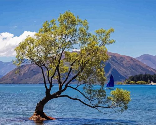 Small Boat In Lake Wanaka Paint By Numbers