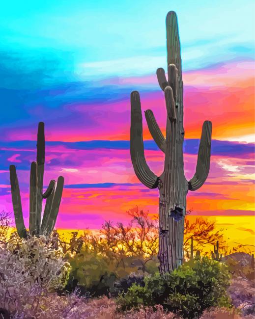 Sunset Arizona Paint By Numbers