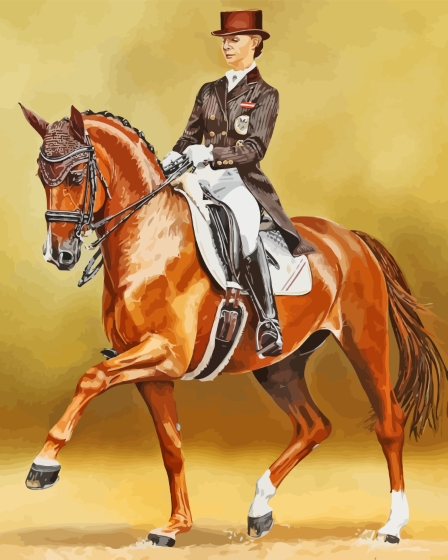 The Dressage Horse Rider Paint By Numbers