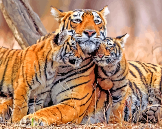 Tiger And Cubs Paint By Numbers
