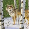 Wolf Among Birches In Forest Paint By Numbers