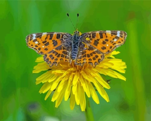 Yellow Dandelion Butterfly Paint By Numbers