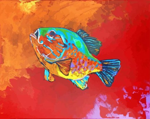 Abstract Sunfish Paint By Numbers