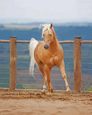 Aesthetic Palomino Horse Paint By Numbers