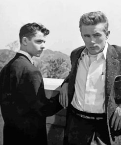 Black And White Rebel Without A Cause Paint By Numbers