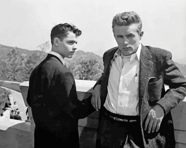 Black And White Rebel Without A Cause Paint By Numbers