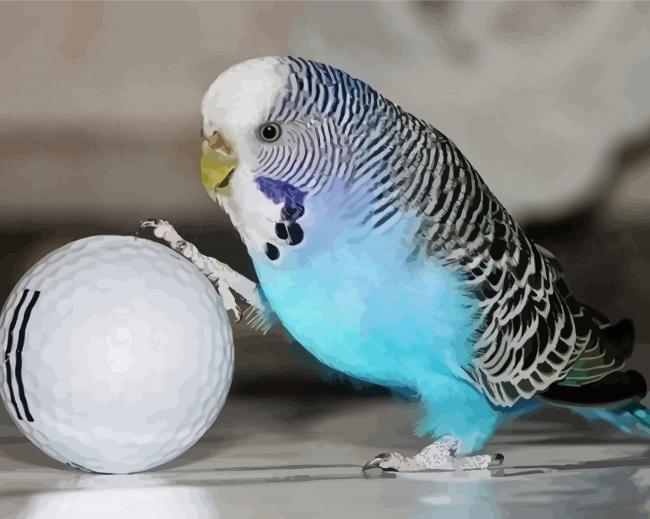 Blue Parakeet And Golf Ball Paint By Numbers