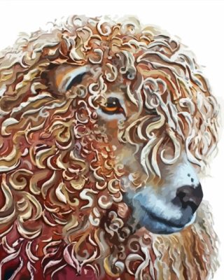 Curly Sheep Paint By Numbers