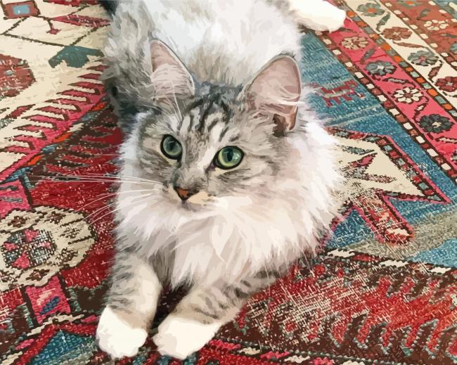 Cute Cat On Persian Rug Paint By Numbers