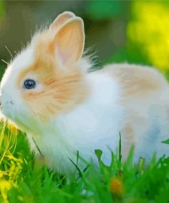 Cute Baby Bunny Paint By Numbers