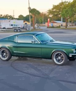 Ford Fastback Mustang Paint By Numbers