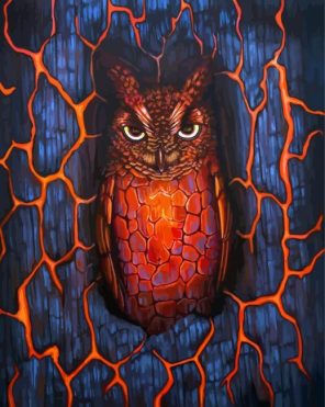 Mad Owl Paint By Numbers