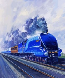 Mallard Train Paint By Numbers