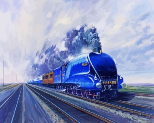 Mallard Train Paint By Numbers