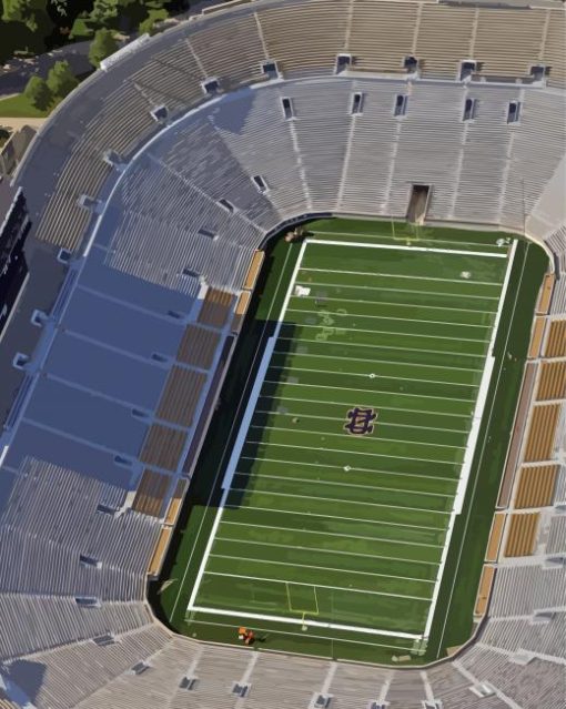 Notre Dame Stadium Overhead View Paint By Numbers