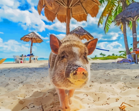 Pig In Bahamas Paint By Numbers