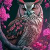 Pink Owl Paint By Numbers