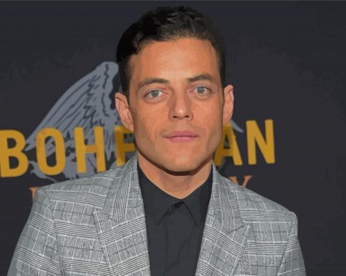 Rami Malek American Actor Paint By Numbers