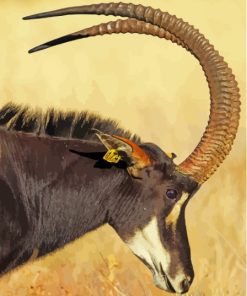 Sable Antelope Head Paint By Numbers