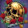 Skull With Roses Paint By Numbers