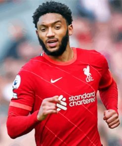 The Football Player Joe Gomez Paint By Numbers