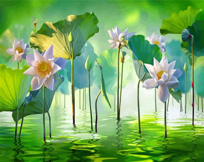 White Lotus Flowers In Water Paint By Numbers