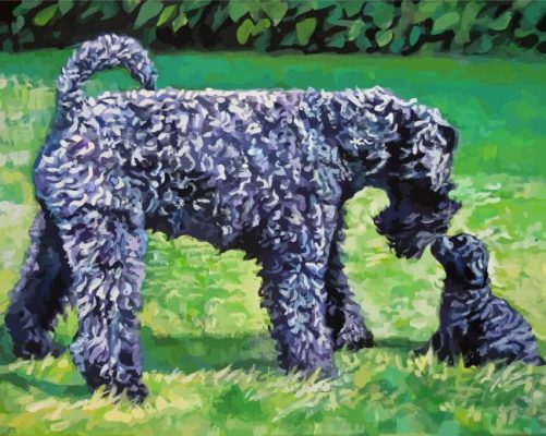 Kerry Blue Terrier Paint By Numbers