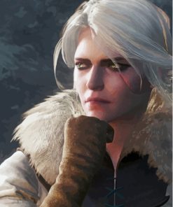 The Witcher Cirilla Paint By Numbers
