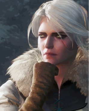 The Witcher Cirilla Paint By Numbers