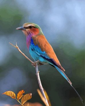 Lilac Roller African Bird Paint By Numbers