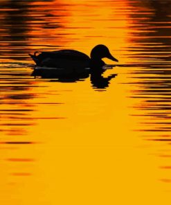 Lonely Duck Sunset Paint By Numbers