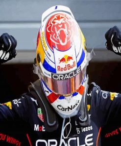 The Car Racer Max Verstappen Paint By Numbers