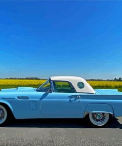 1957 Thunderbird Painting by numbers