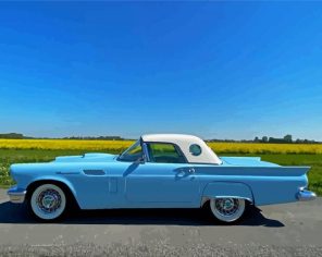 1957 Thunderbird Painting by numbers